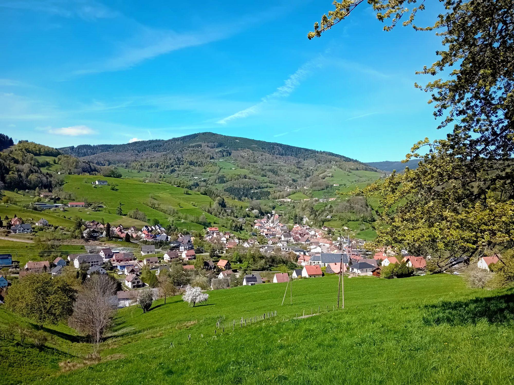 La vallée de Kaysersberg vue depuis Lapoutroie, prairies et forêts à la belle saison
